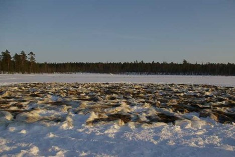 Warmth, Inari, Finland (12000x400x7000cm) 